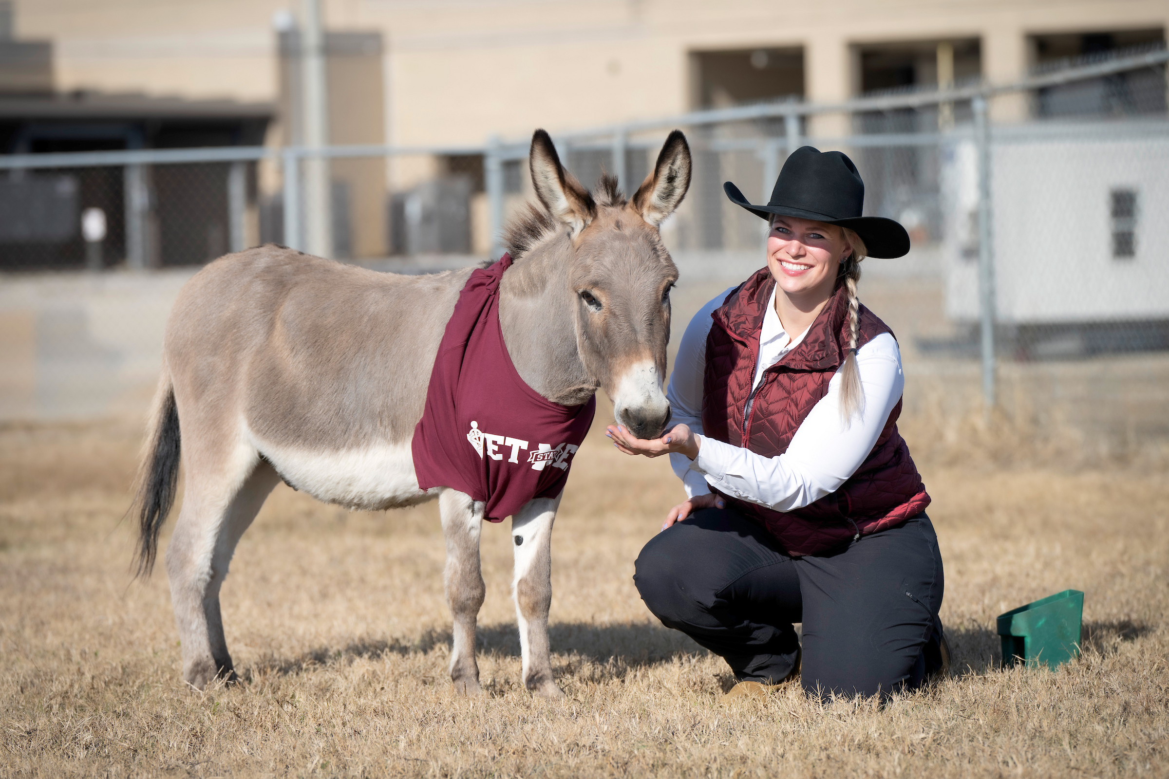 Pico the donkey and his owner