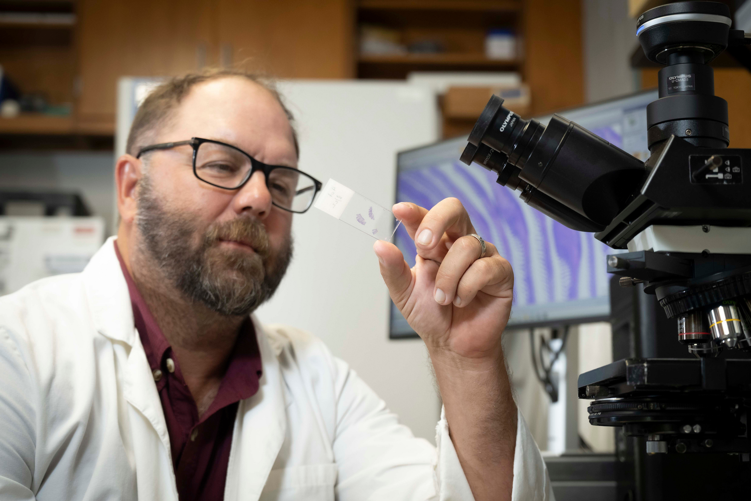 A scientist looks at a slide