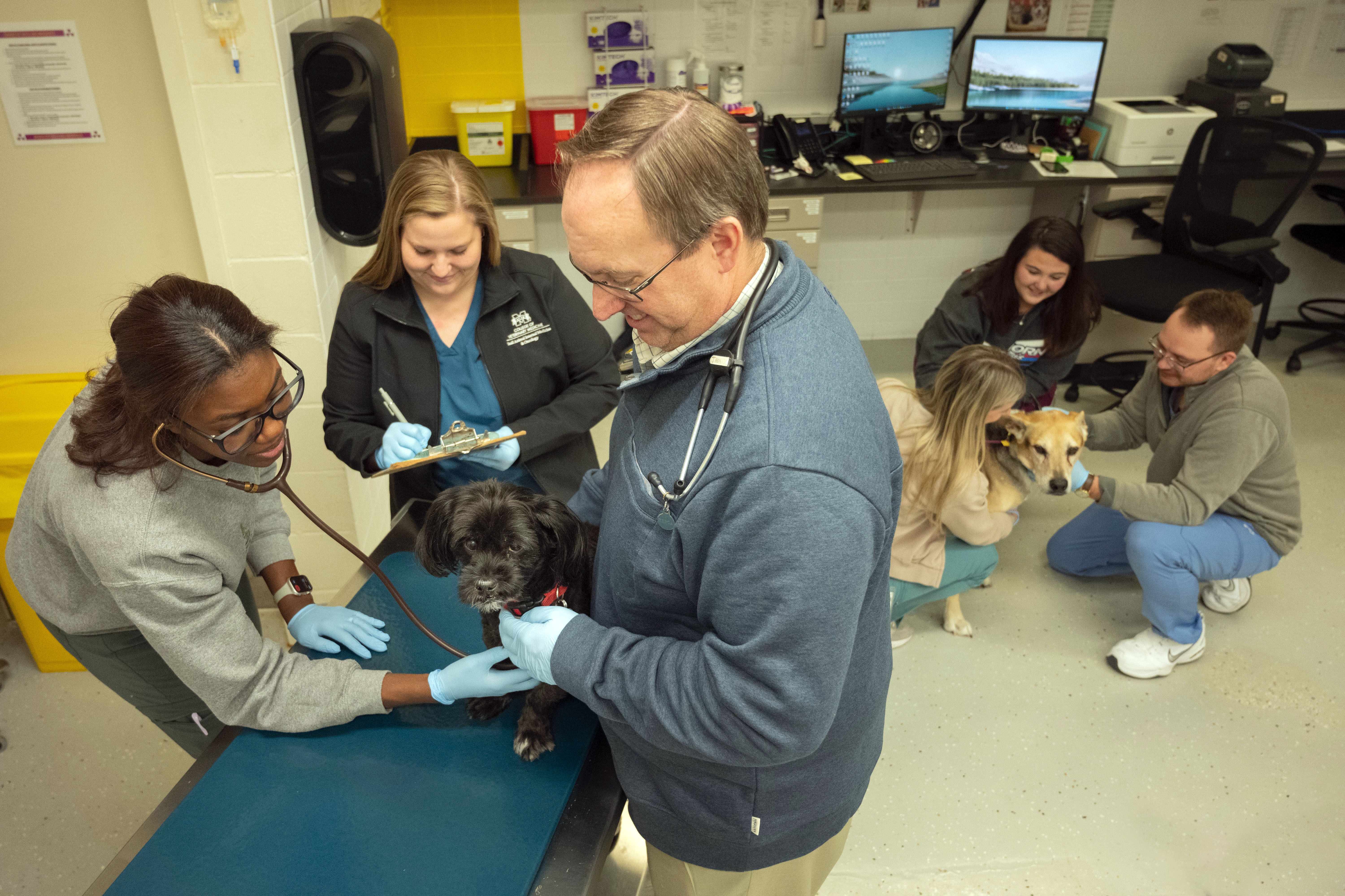 A veterinarian and his students examine an animal.