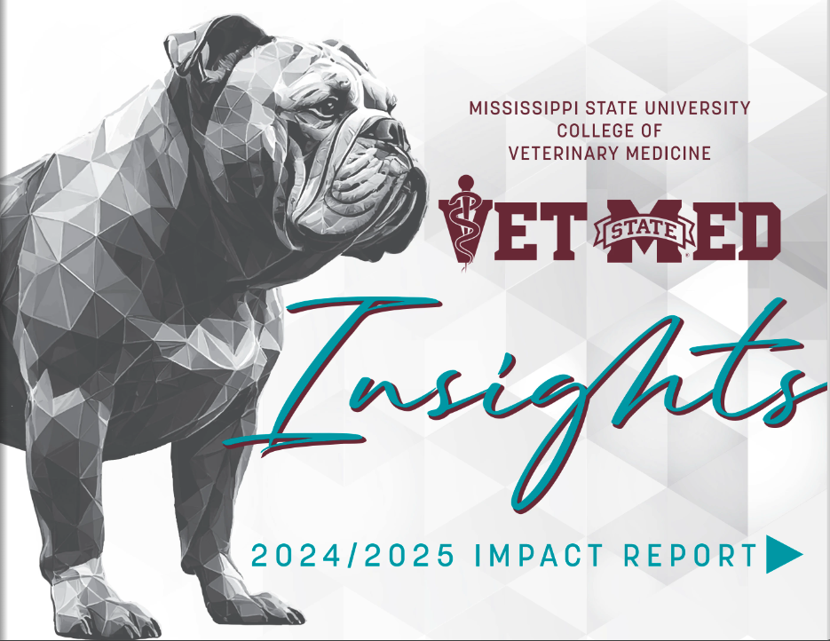 The cover of the 2024/2025 Insights Impact Report Magazine