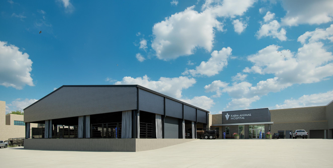 Rendering of a new cattle handling facility