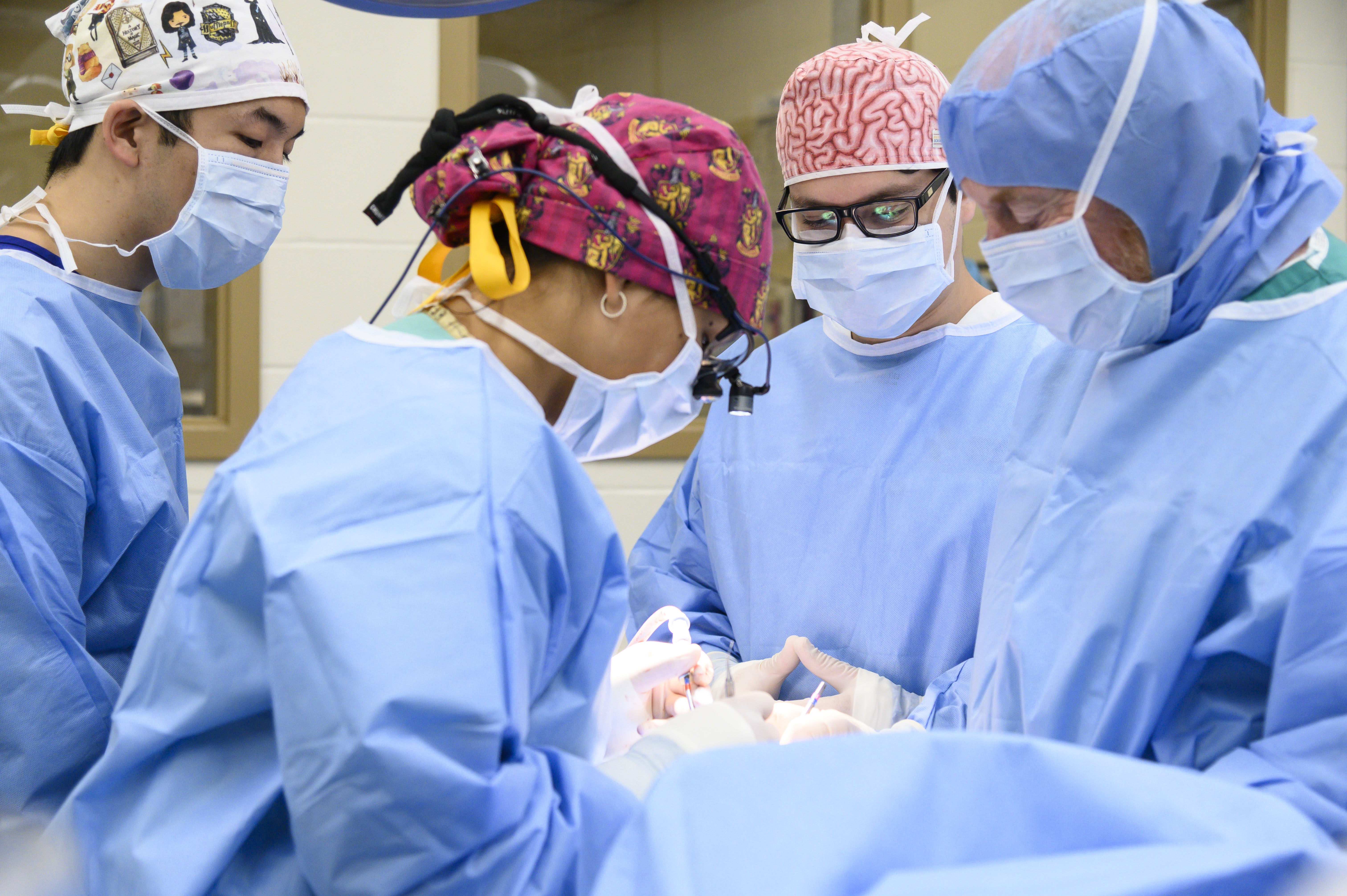 Four veterinarians perform a neurological surgery