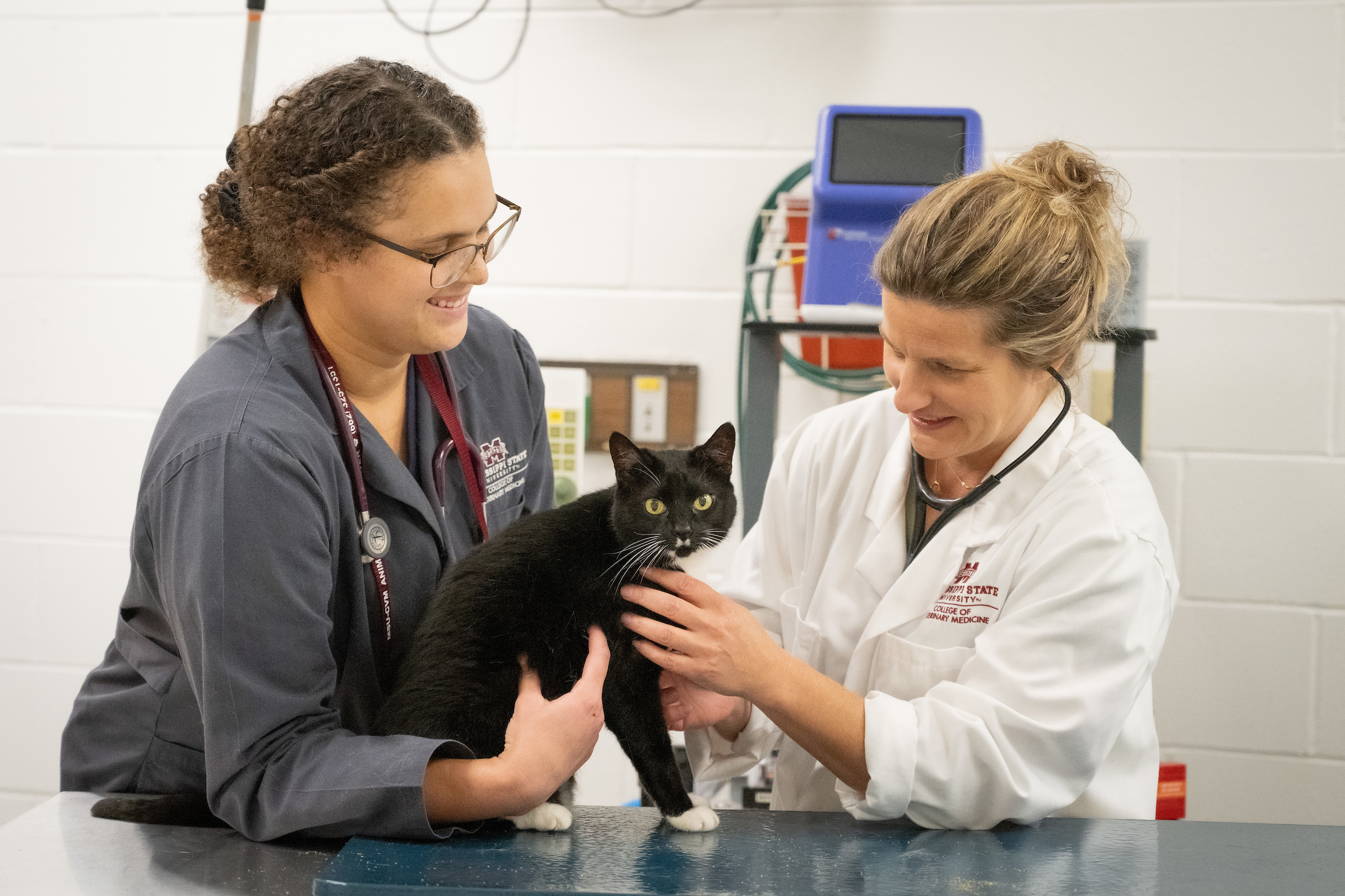 A student and doctor examine a cat