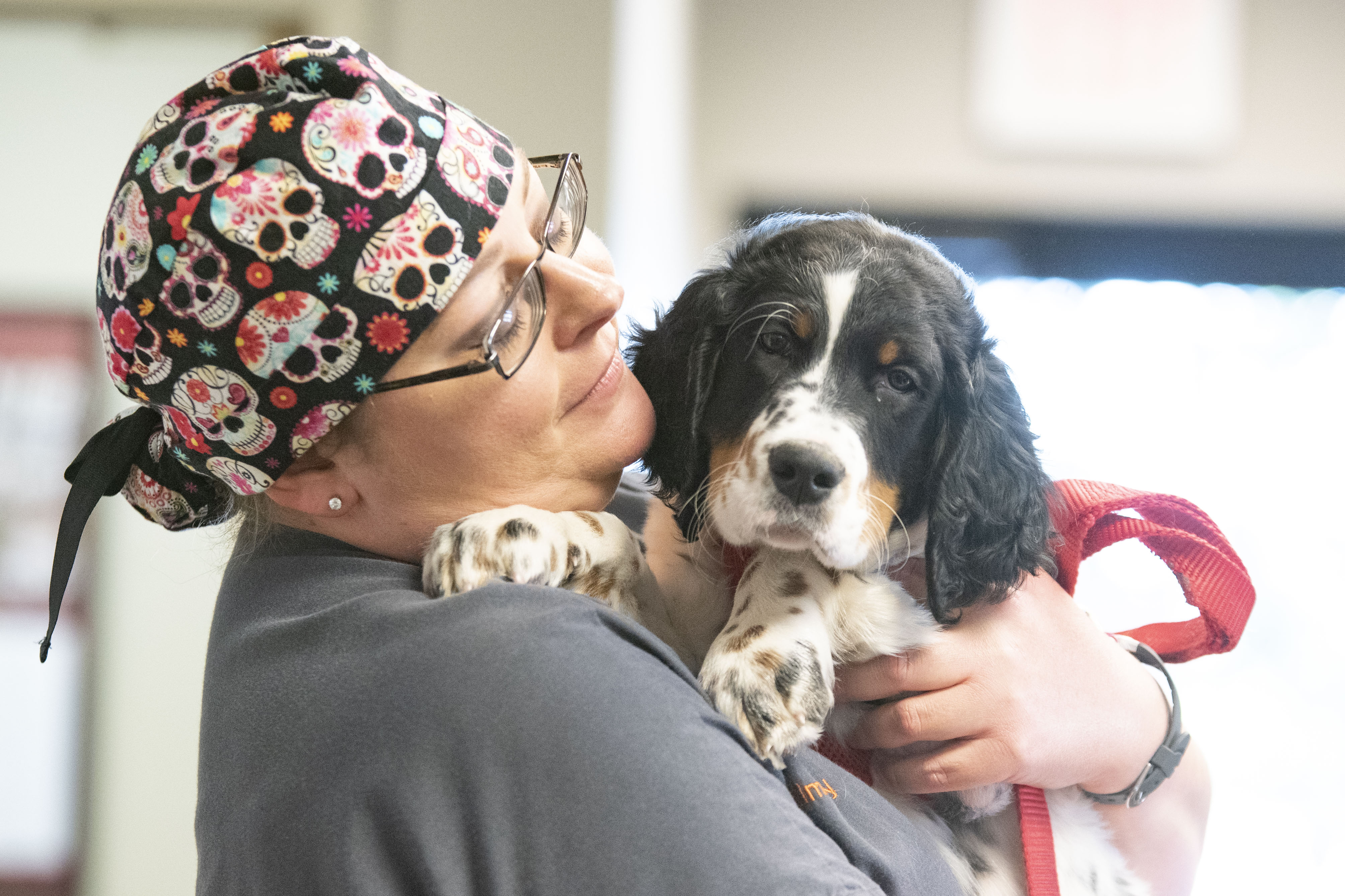 A veterinary technician holds a puppy