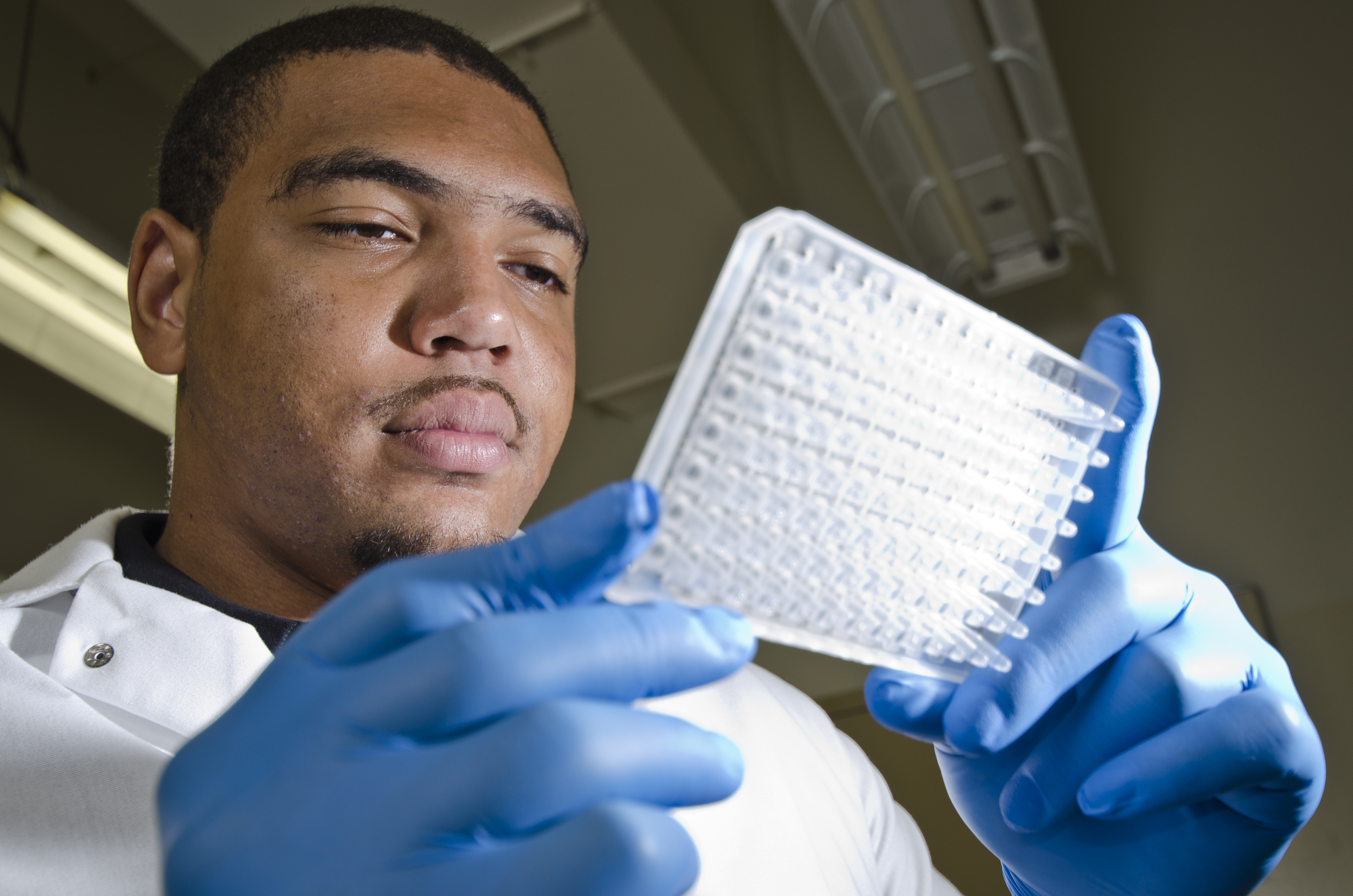 An researcher looks at a tray