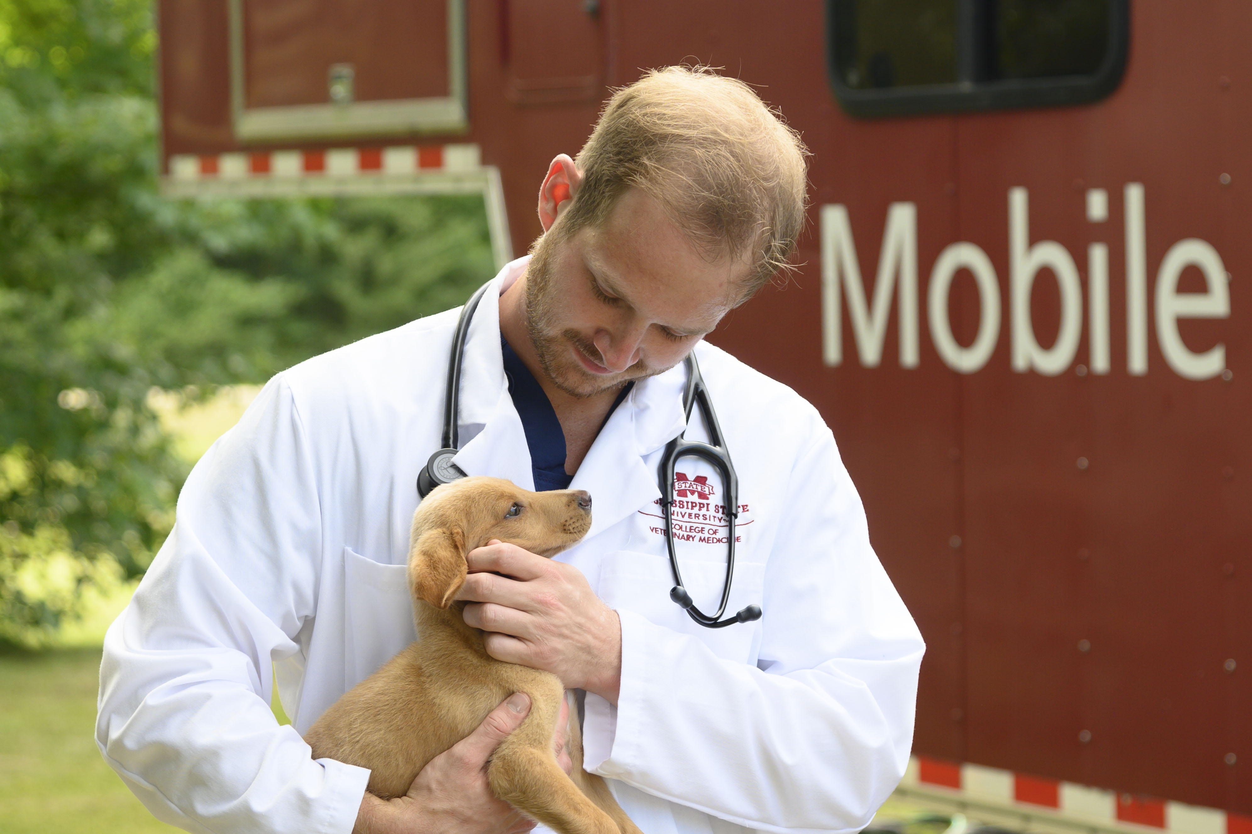 A veterinarian holds a puppy in front of the mobile clinic