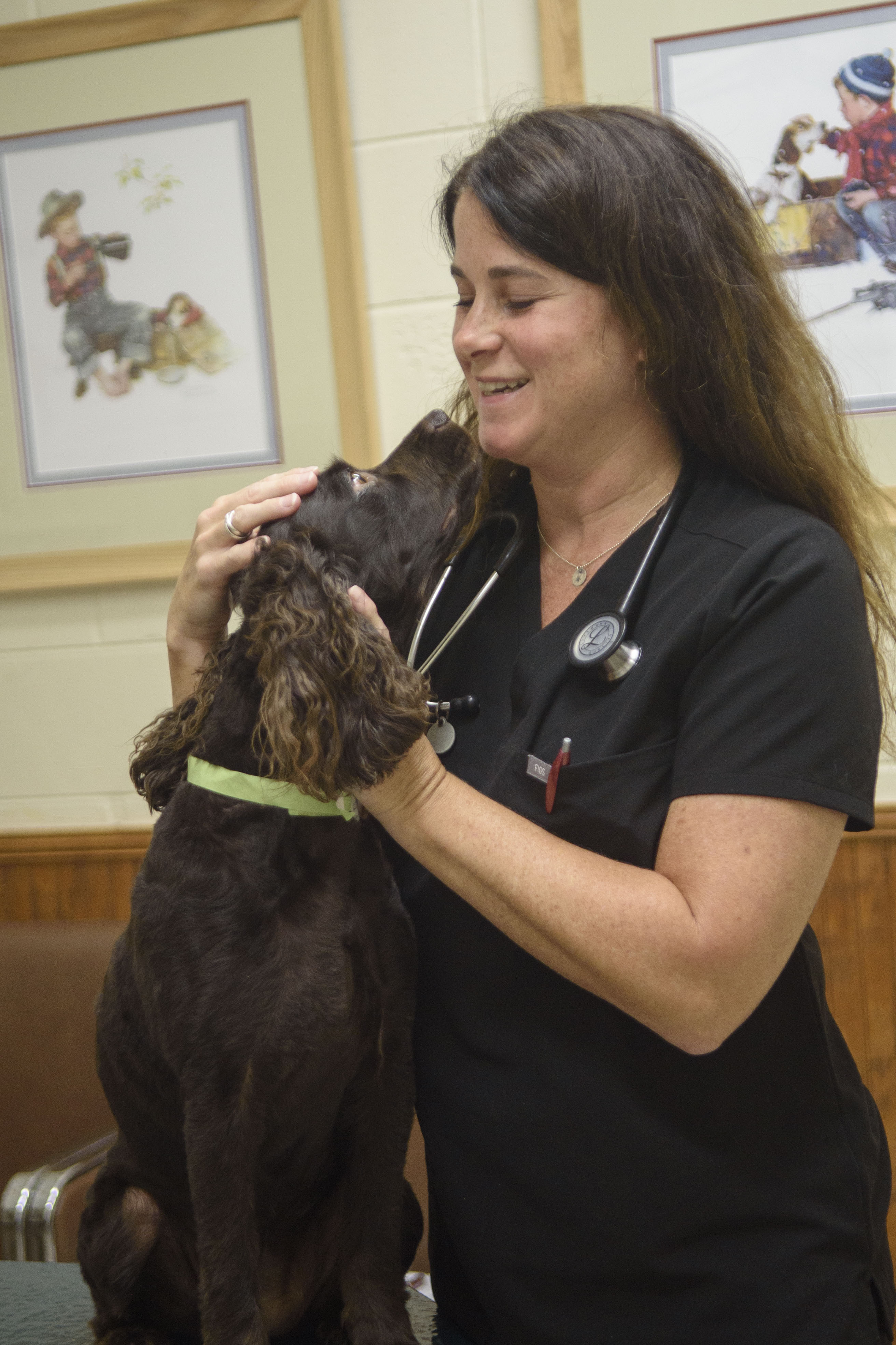 A dog patient looks up at its veterinarian
