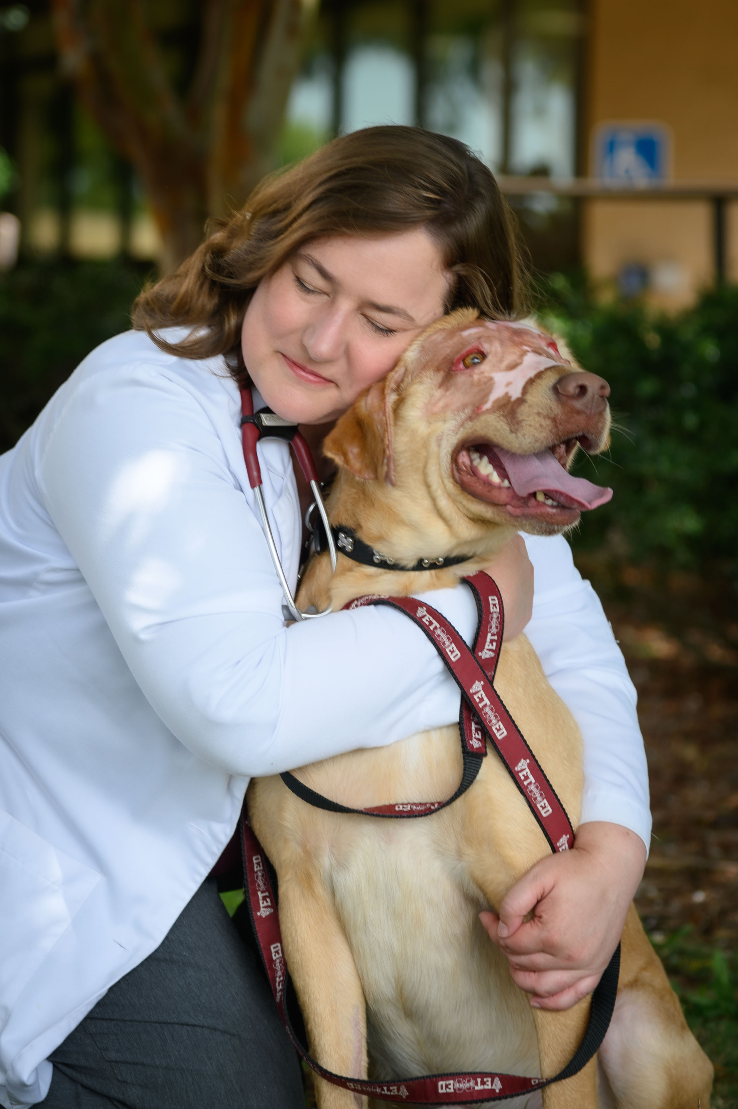 A veterinarian in a white coat hugs a dog patient