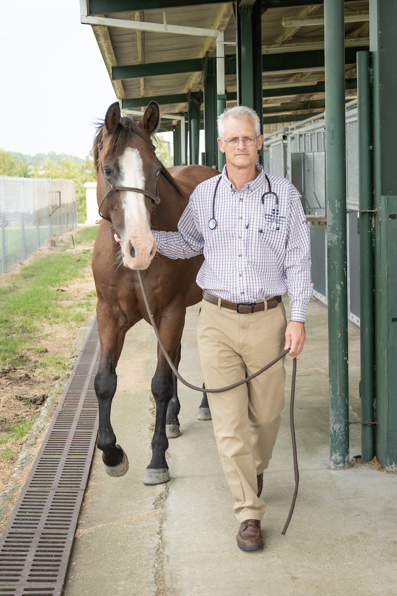 Dr. Frank leads a horse.