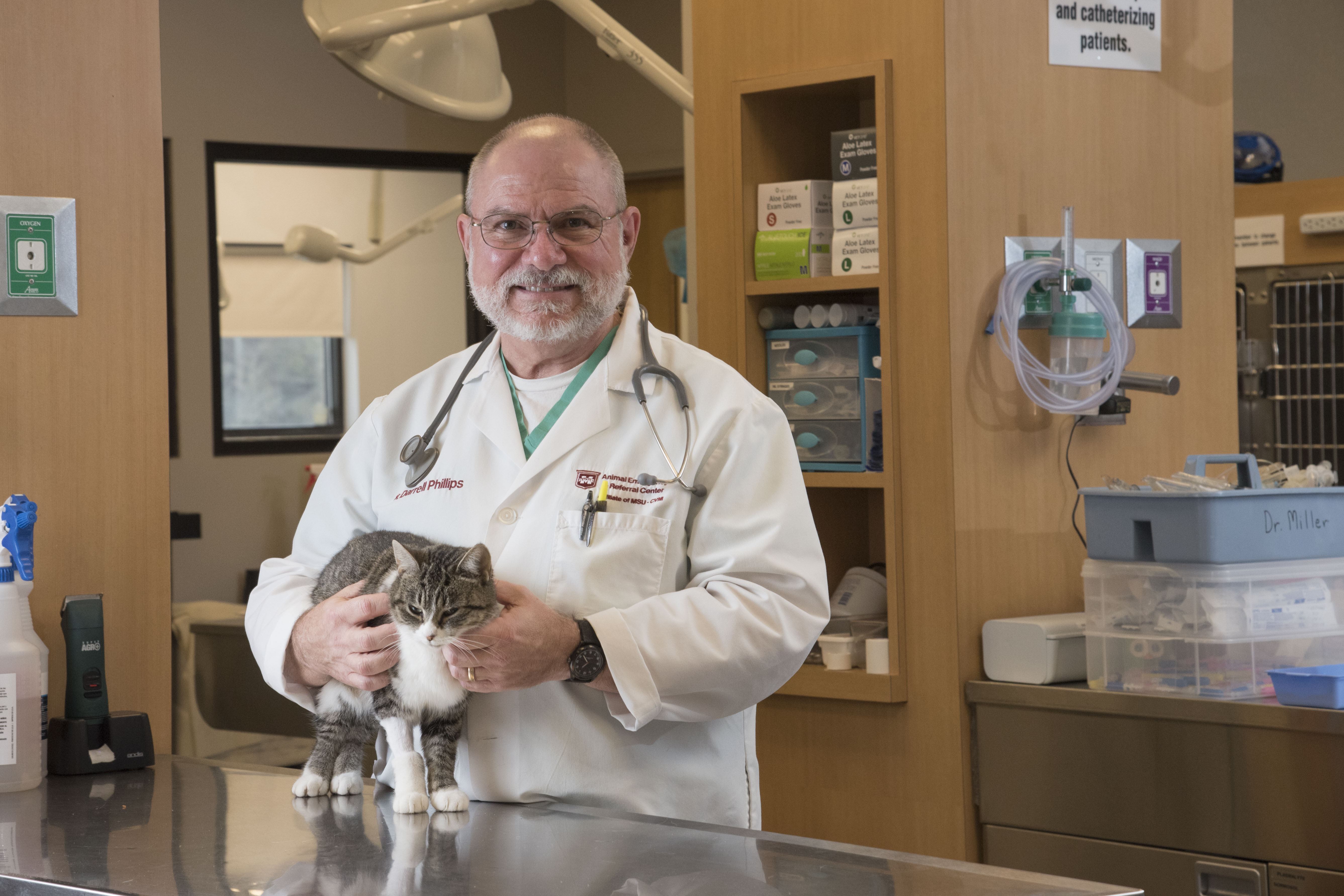 A veterinarian poses with a cat on an exam table