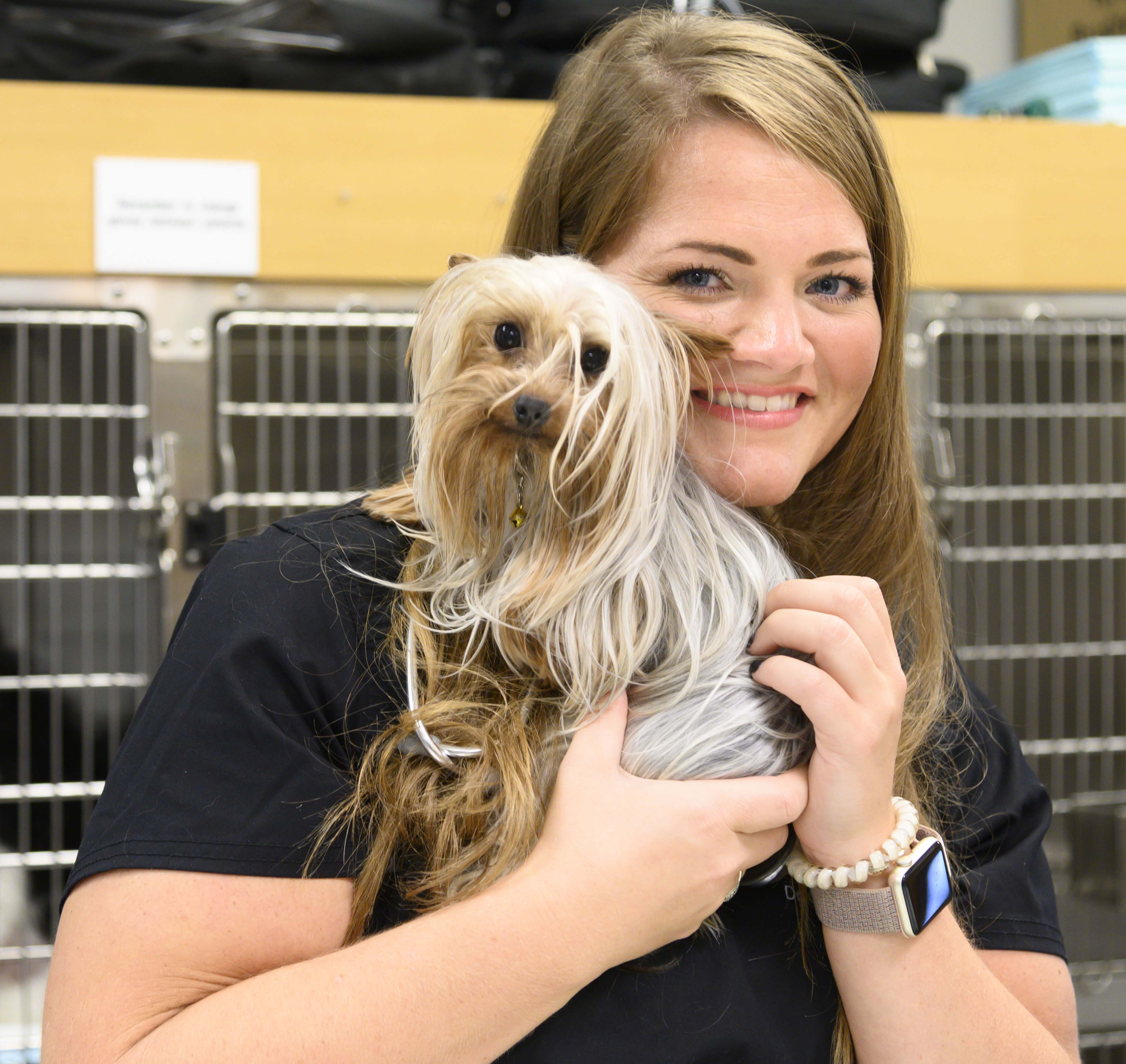 A veterinarian poses with a yorkie 