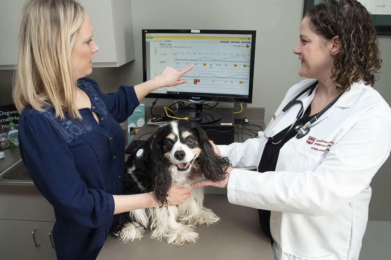 MacGregor is visiting the clinic