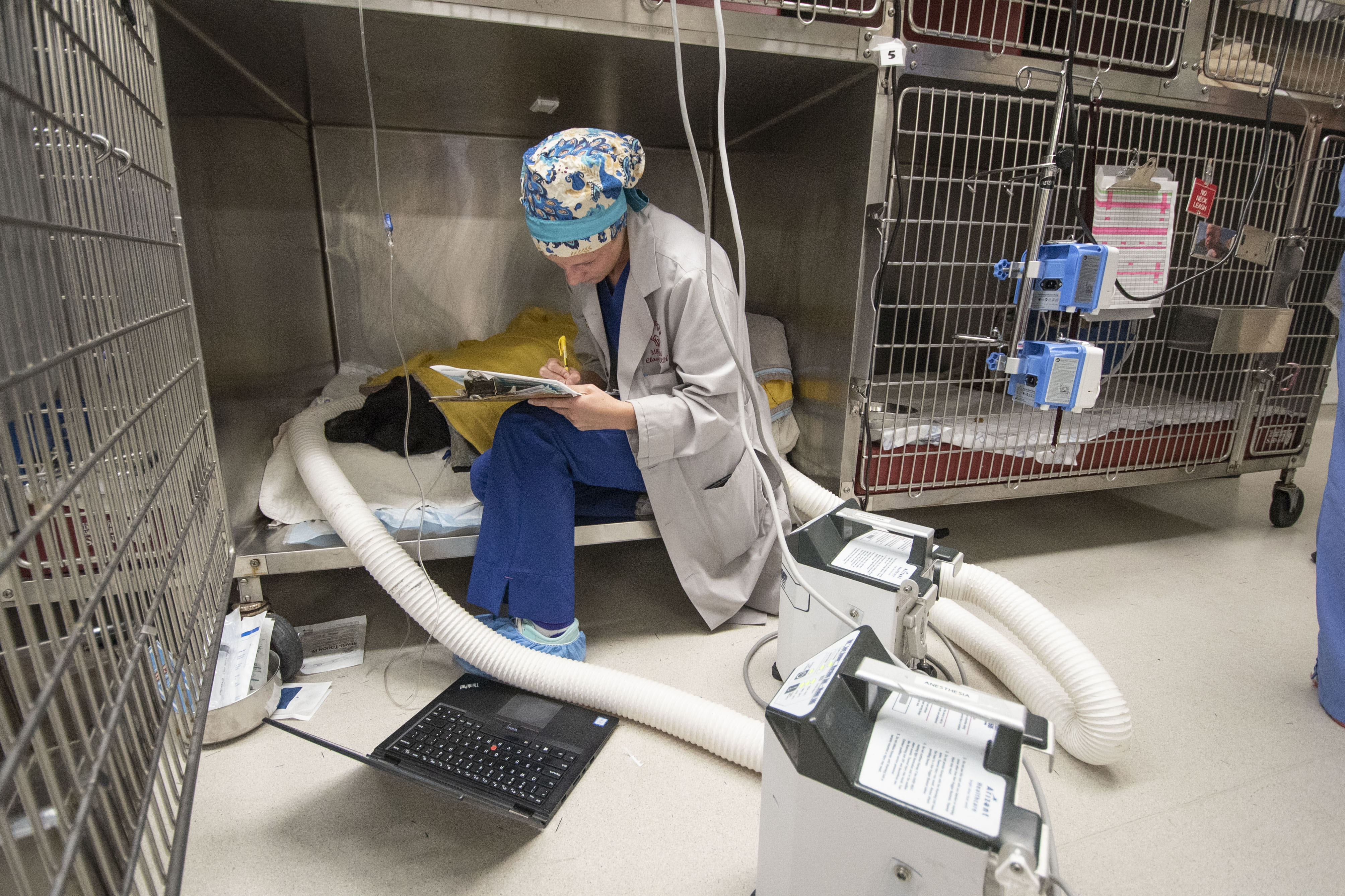 A veterinary student monitors an ICU patient