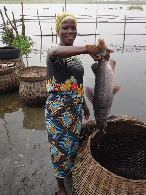 In Nigeria, women are most often involved in the postharvest aspects of aquaculture and fisheries. Here, a woman is pictured with a harvest before it is sent to market. (Submitted photo by Joe Steensma)