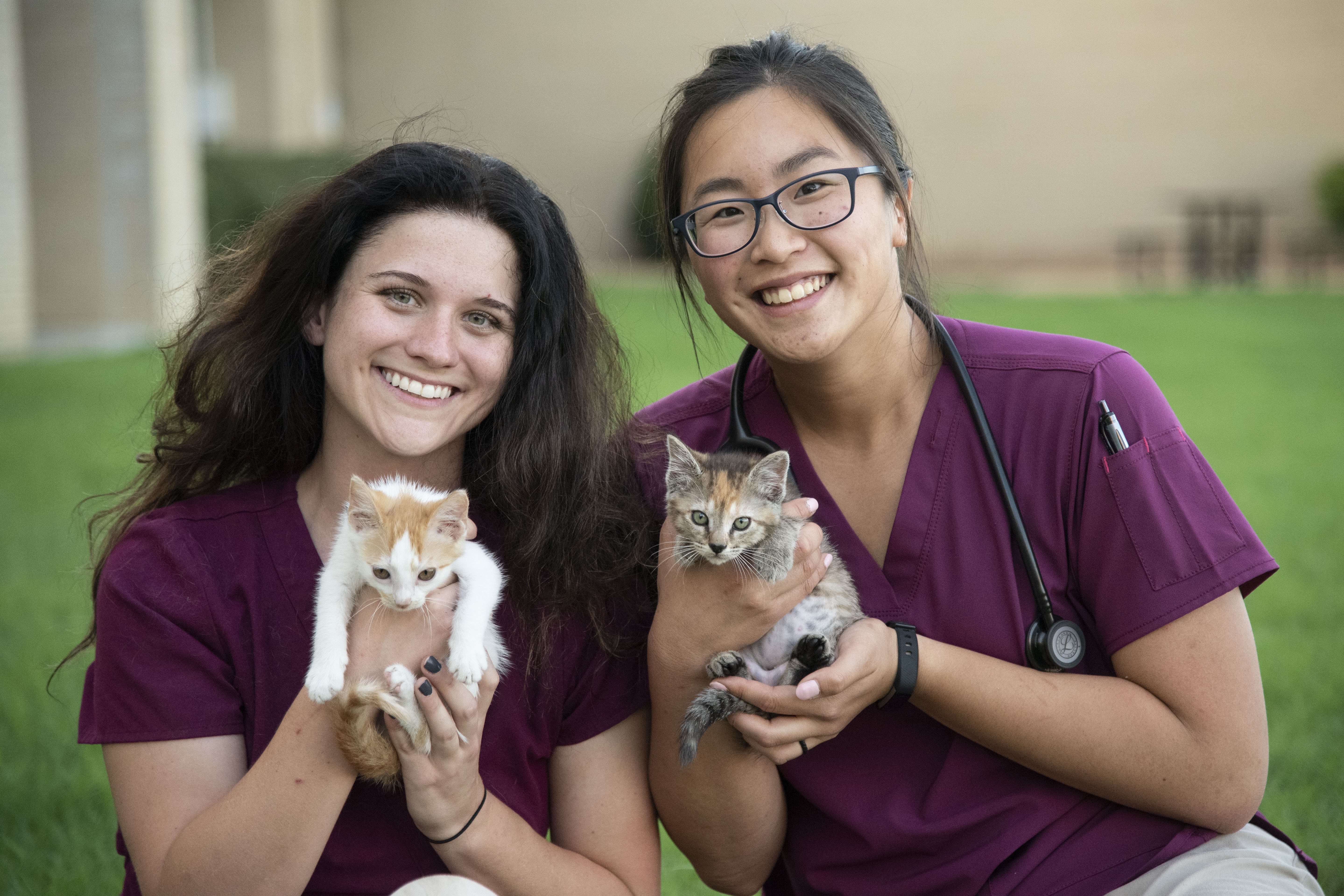Vet students pose with kittens