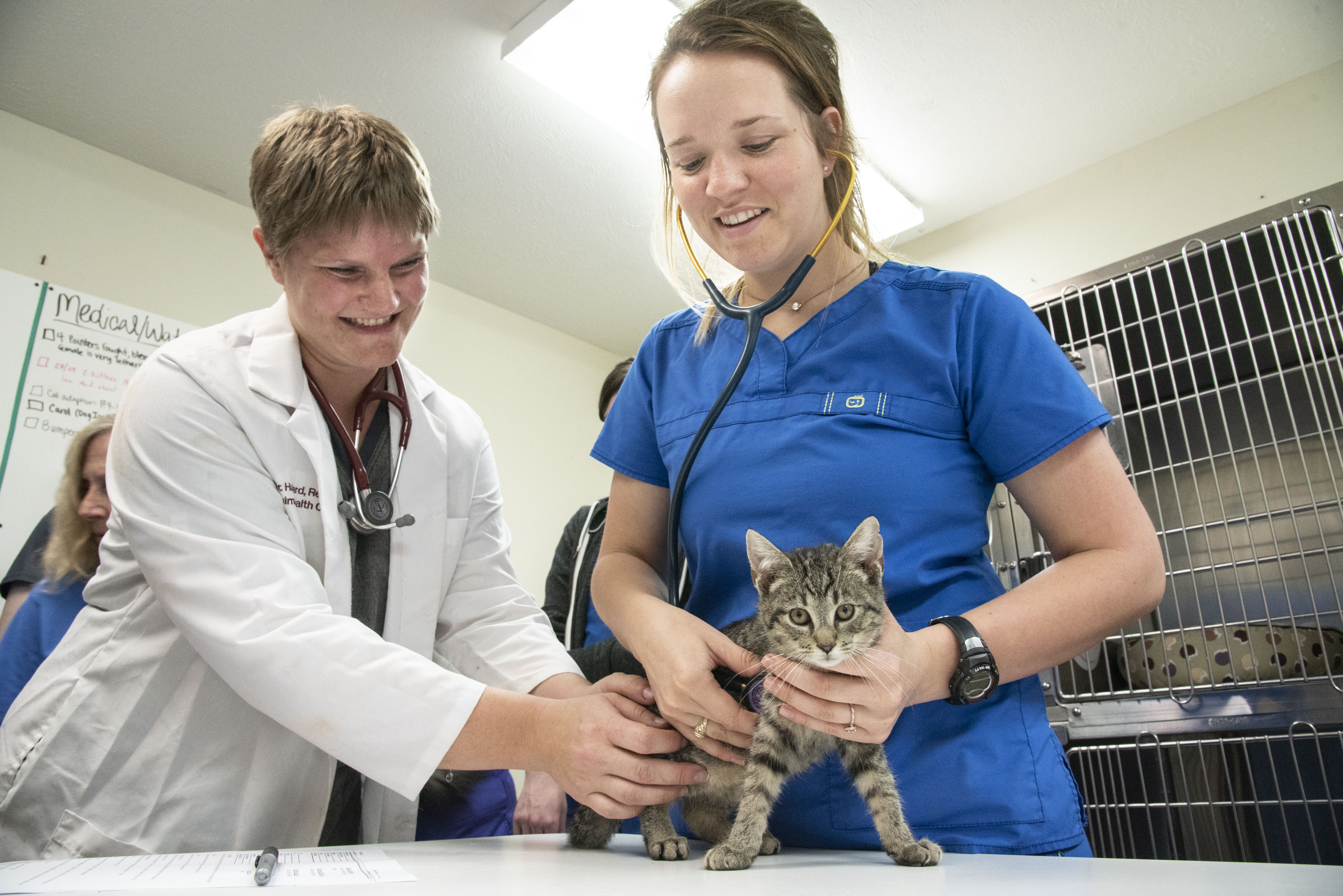 A student and her instructor examine a kitten