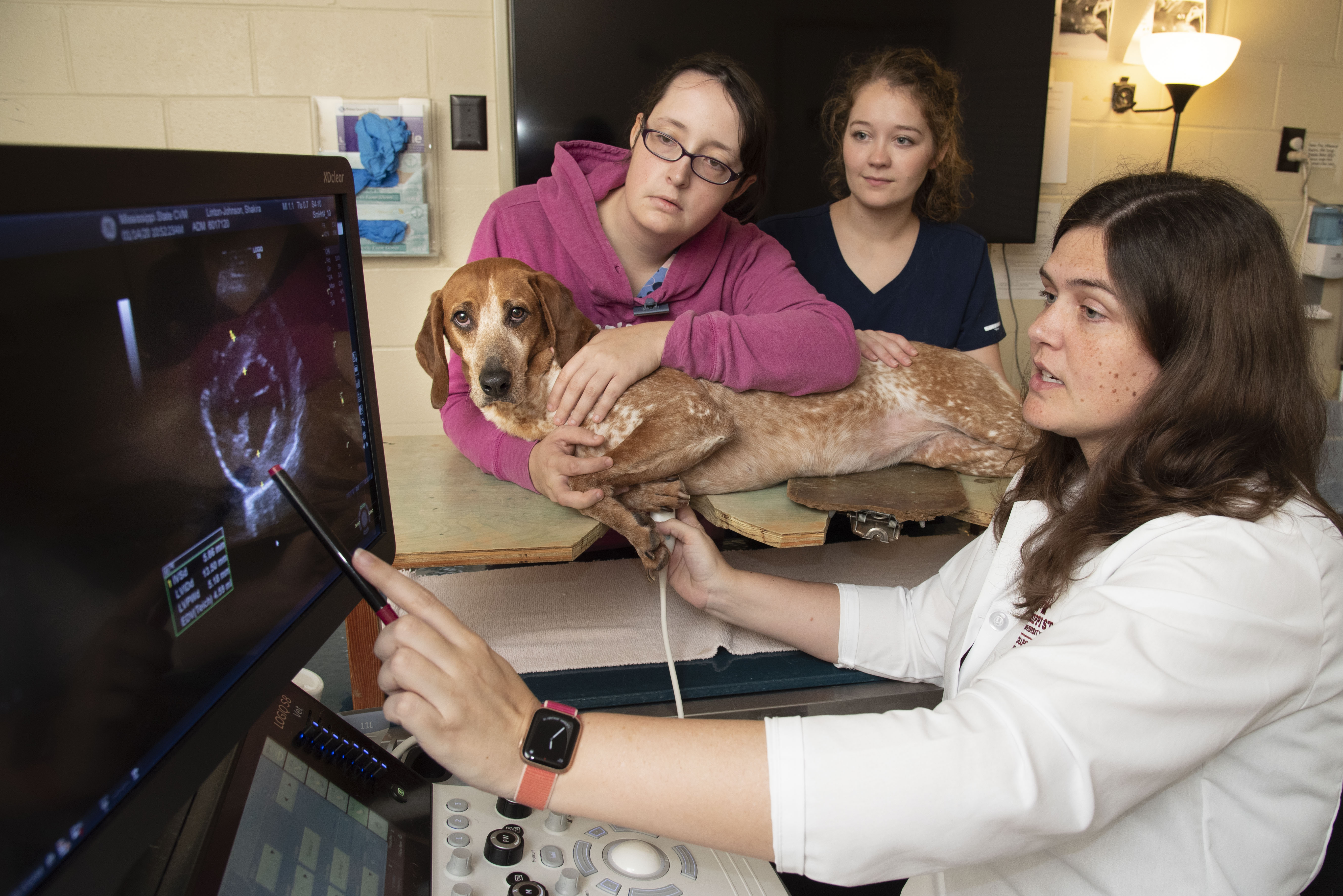 A veterinarian and two students perform an ultrasound on a dog