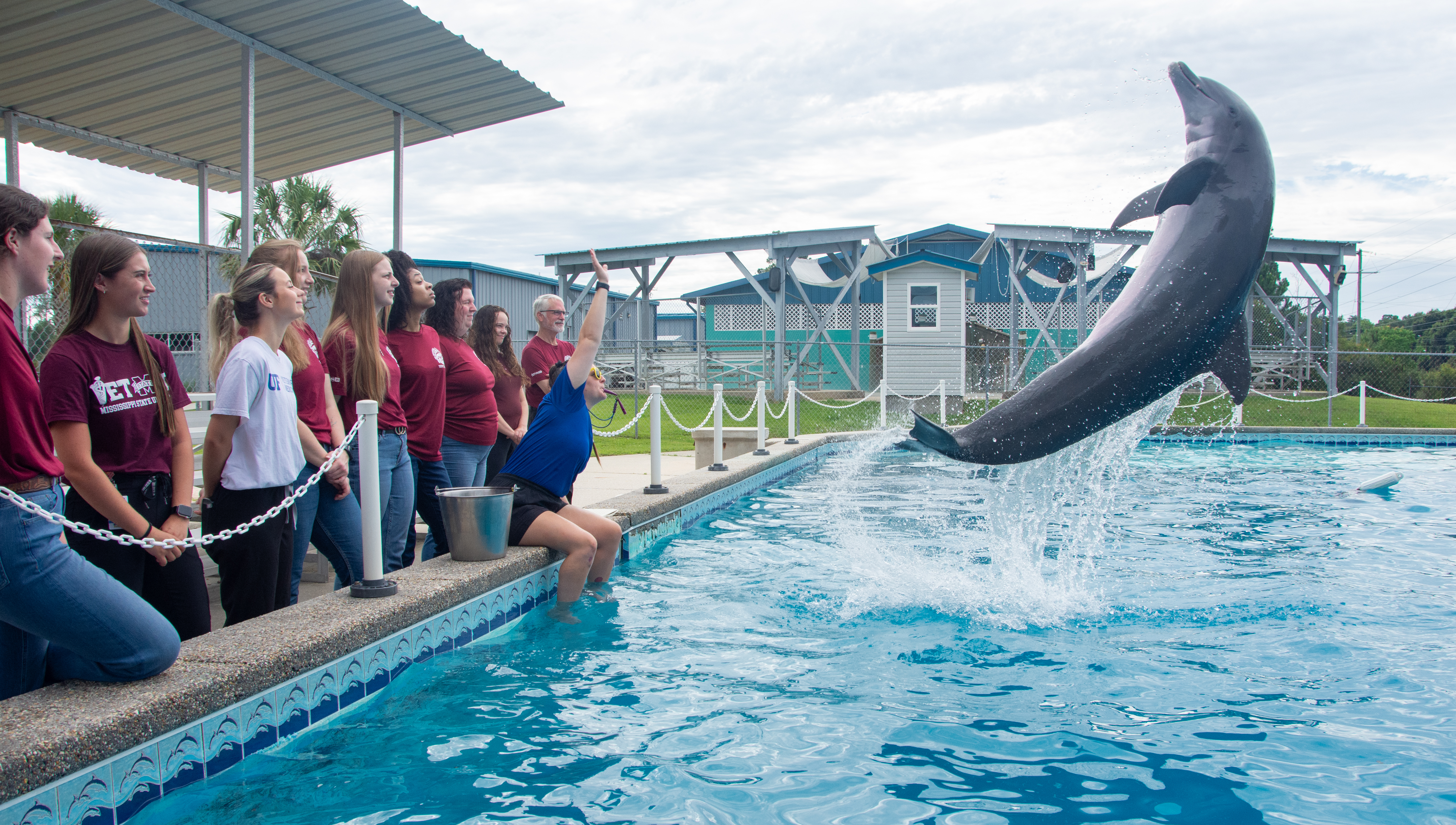 MSU VetMed students participate in a marine mammal health class on the Mississippi Gulf Coast.