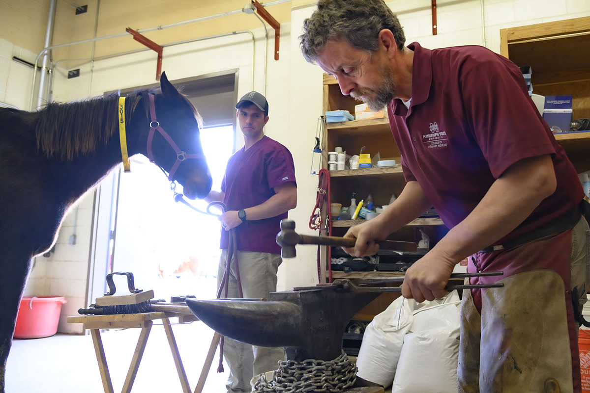 Dr. Nabors uses a hammer and anvil to fit a horseshoe for an equine patient