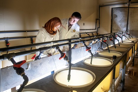Scientists examine tanks of fish in a laboratory