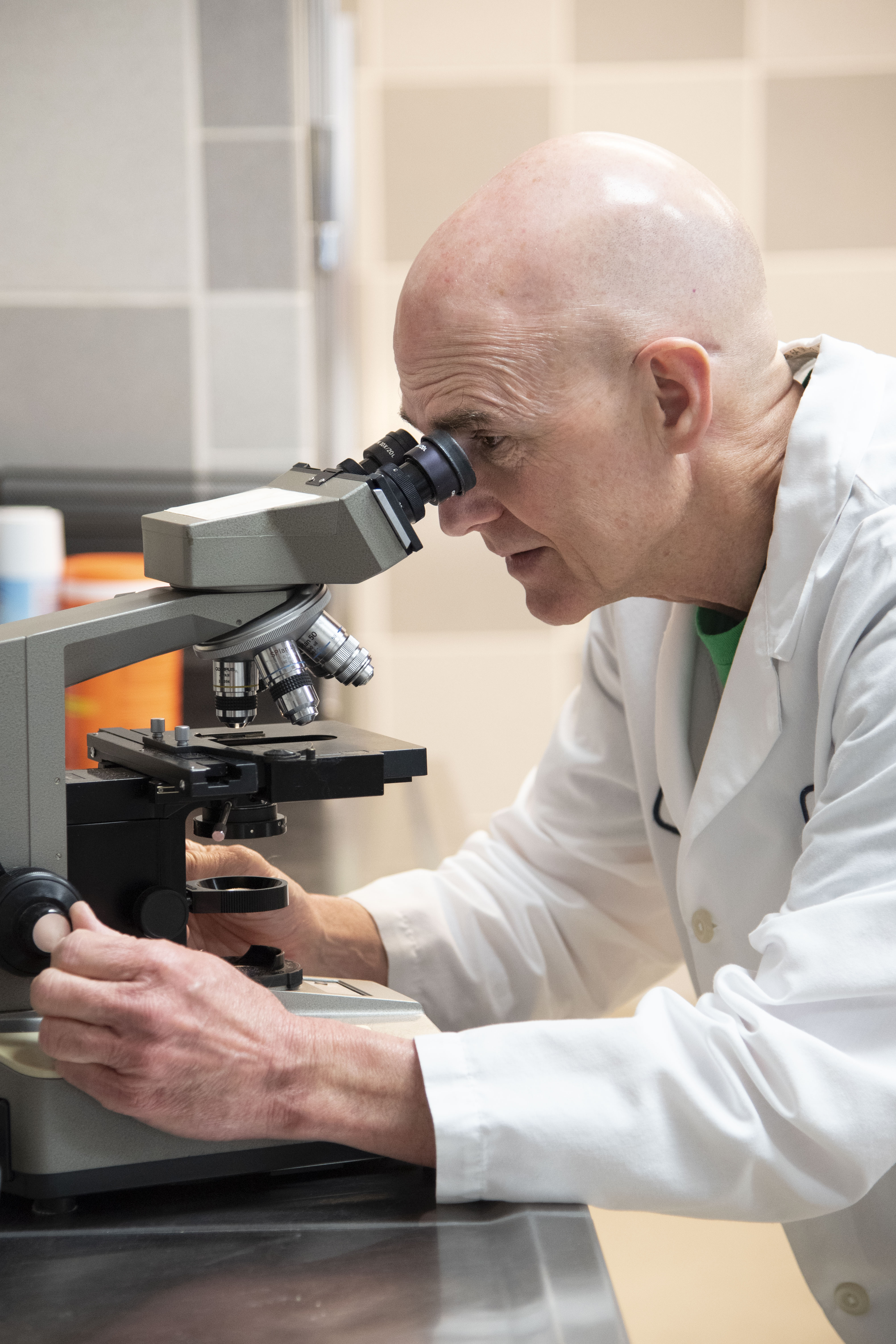 A researcher examines a slide in a microscope