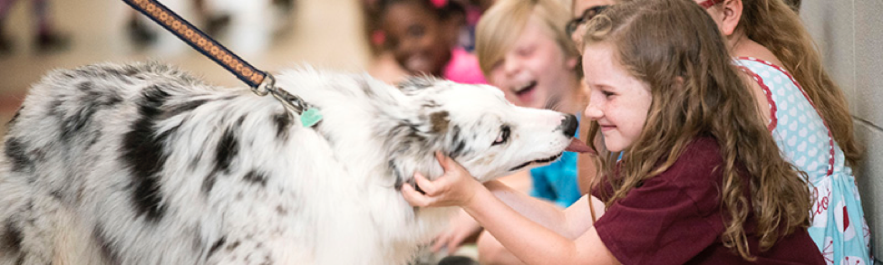 A girl at school pets a black and white dog on a leash