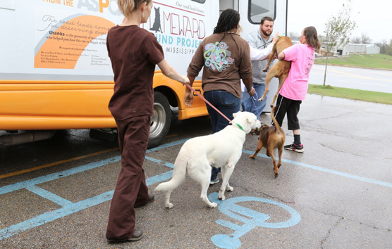 People and Dogs entering the Homeward Bound Bus