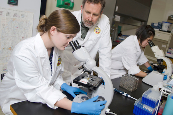 Student and professor looking through a microscope