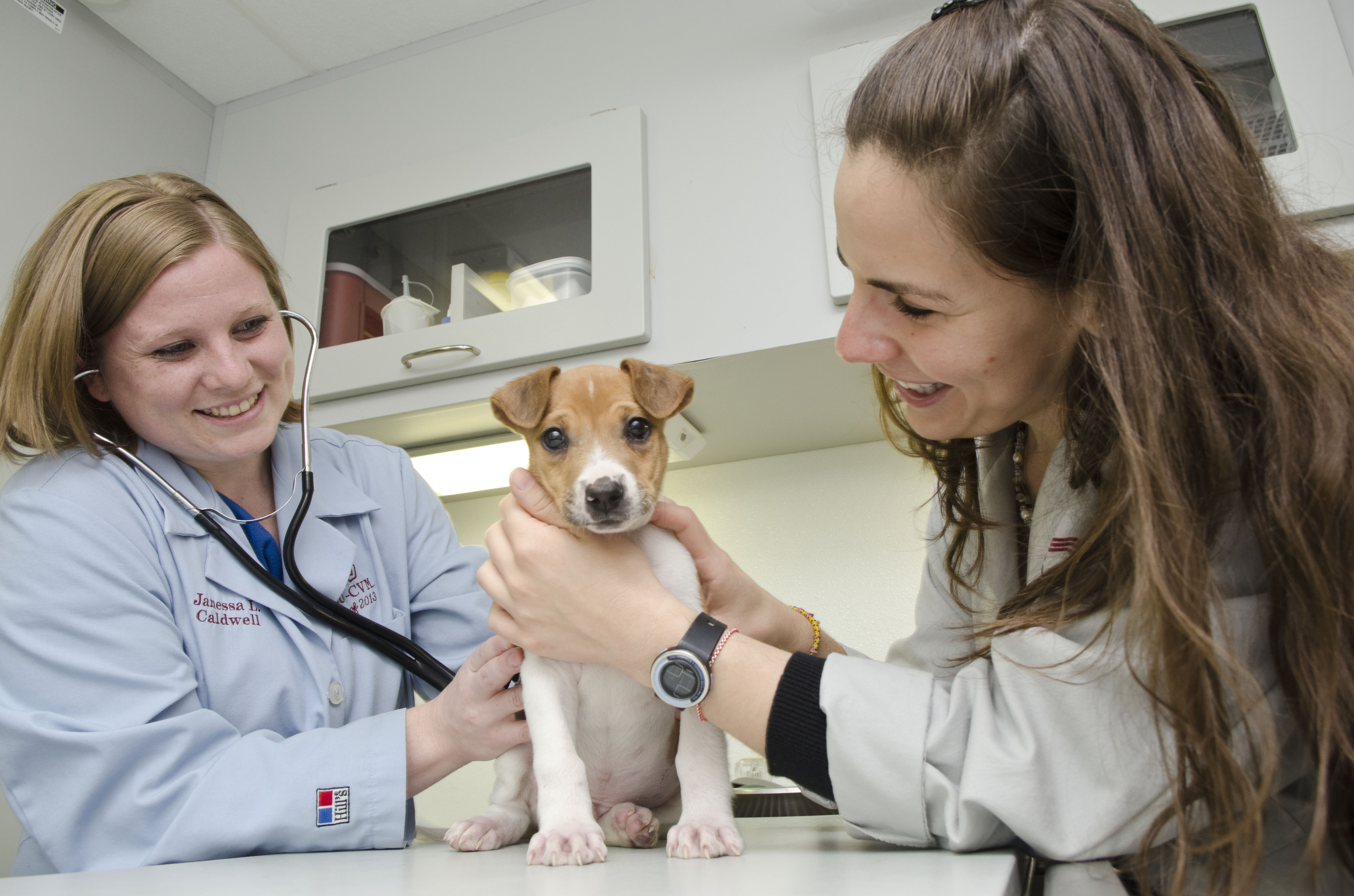 Two veterinary students examine a puppy