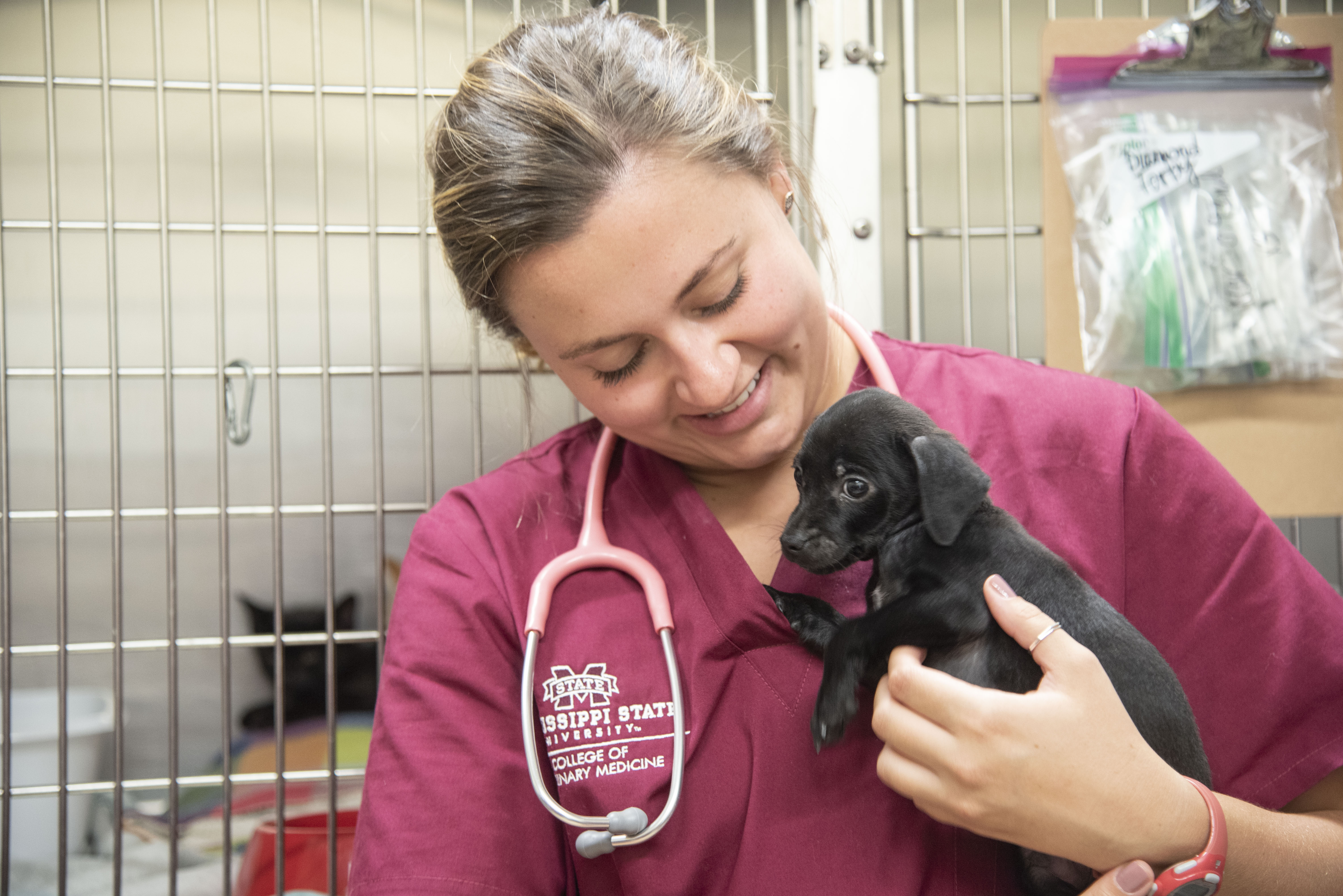 A veterinary student holds a puppy