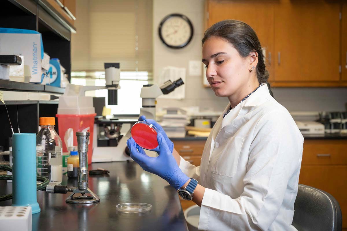 Dr. Sowlat in a lab.