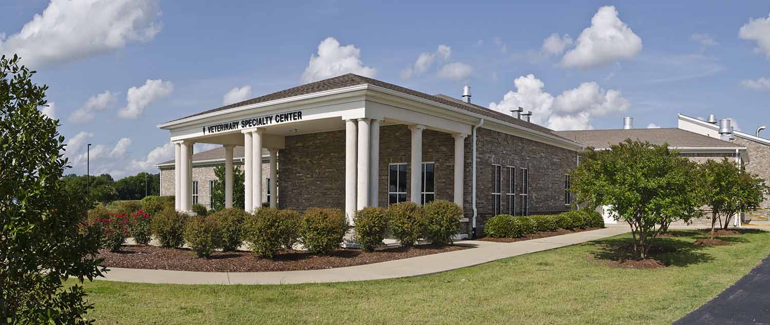 Exterior shot of the Veterinary Specialty Center