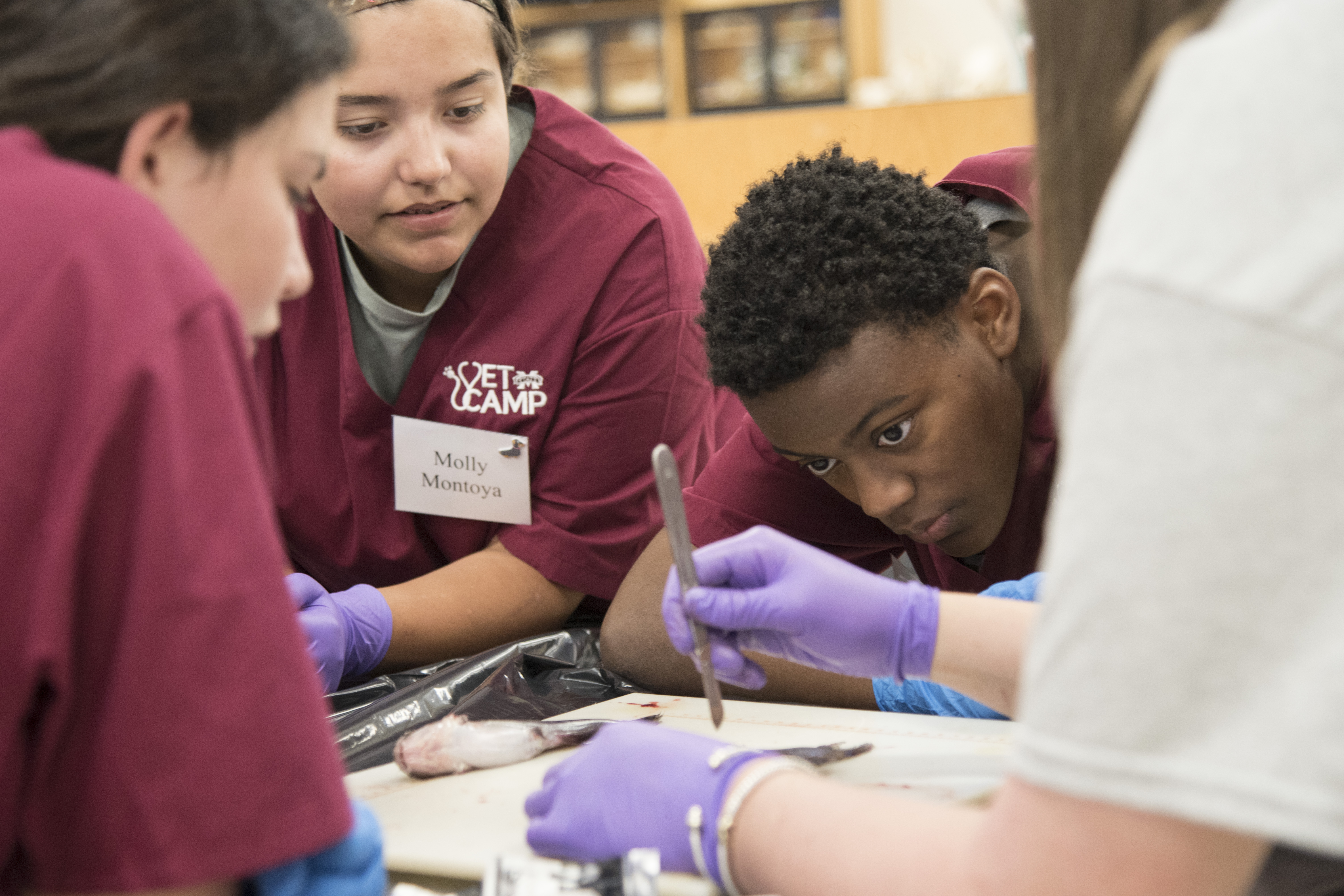 Campers observe a procedure in the lab