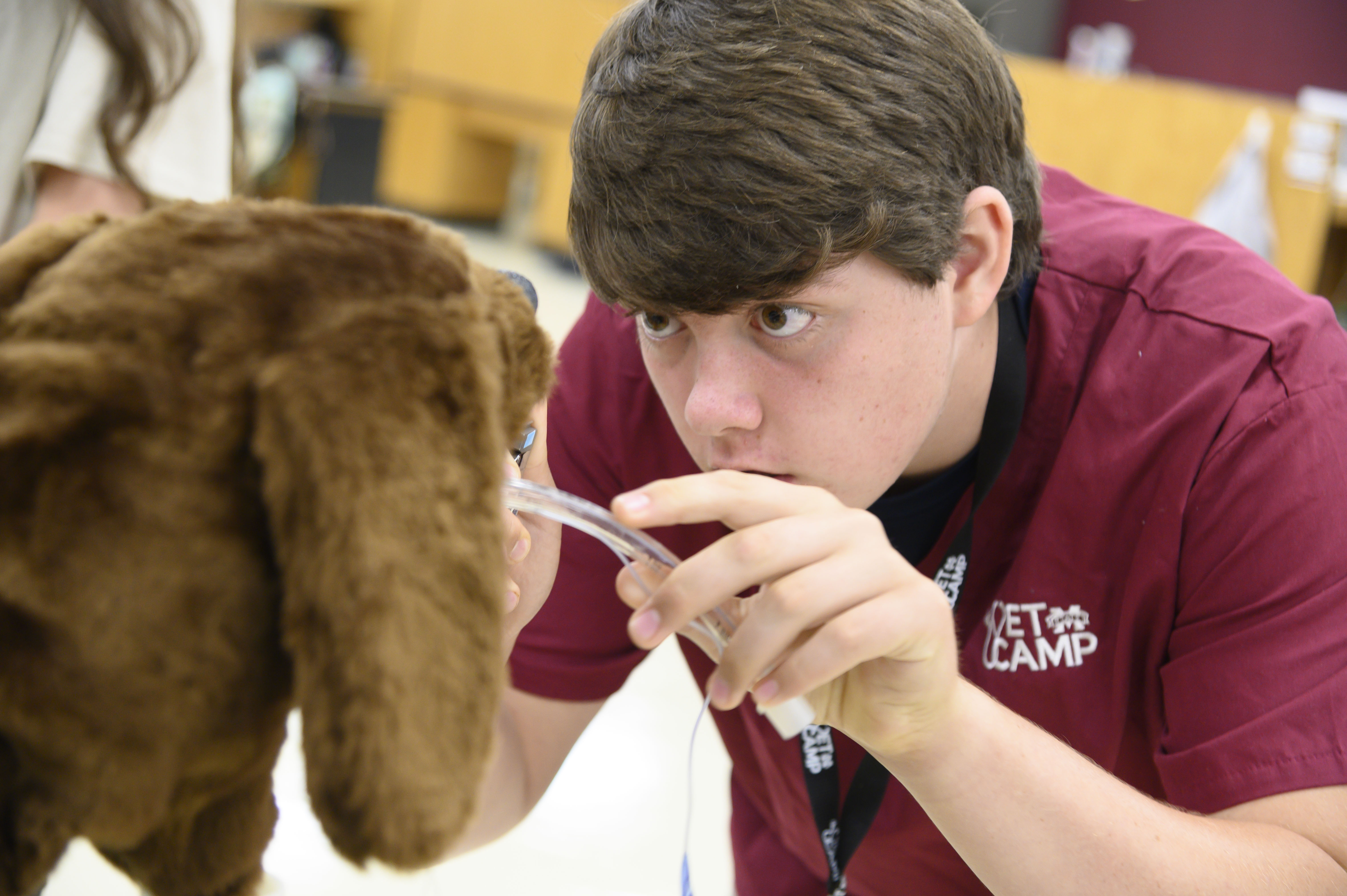 A student examines the mouth of a model dog