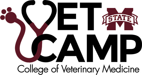 VetCamp Logo