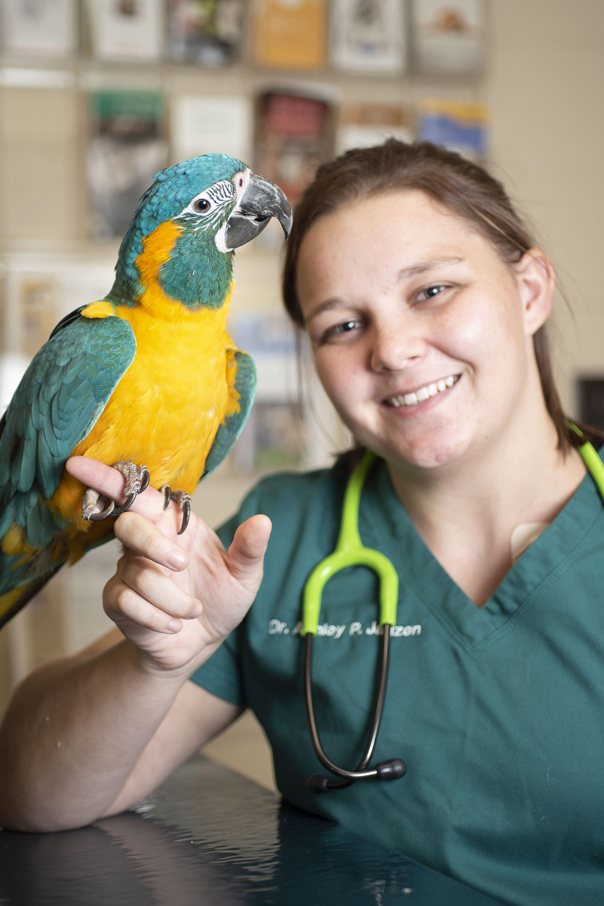 A veterinarian holds an exotic bird