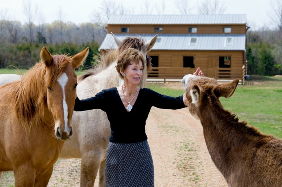 Marcia Lane and three horses