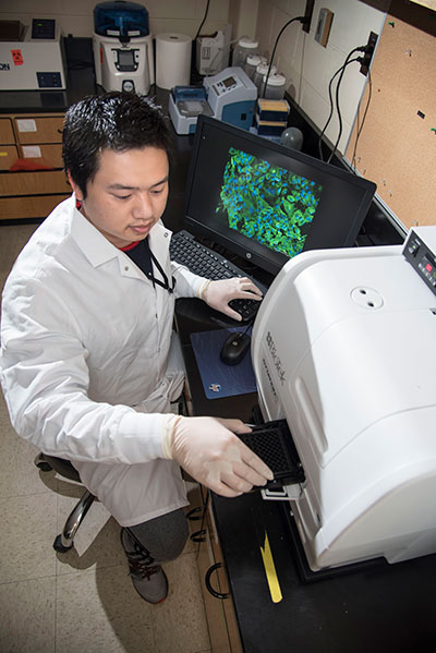 A student conducts research at a computer