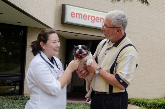 Rocky Sullivan with visits with a vet while holding his French Bulldog