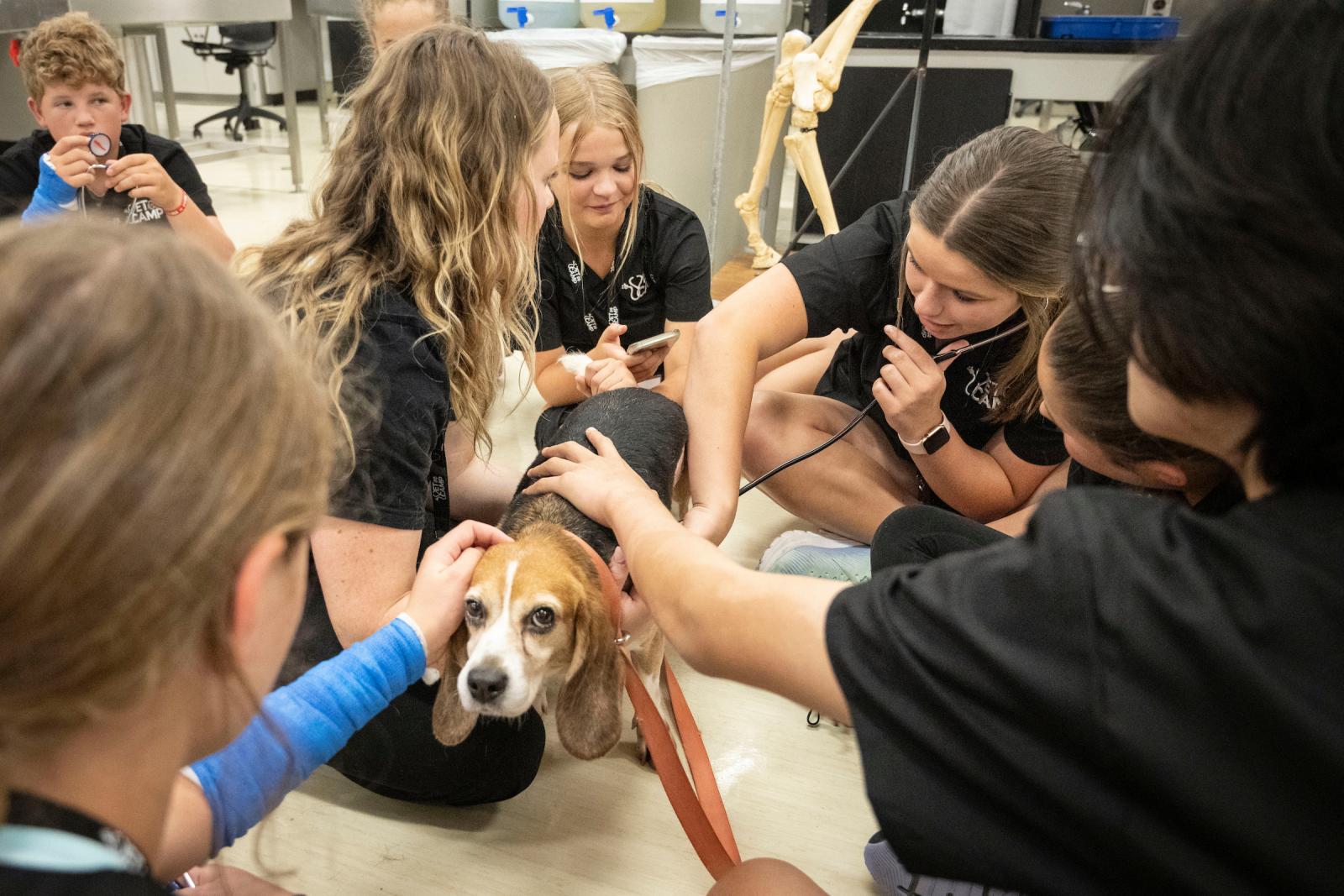 Summer Campers examine a dog.